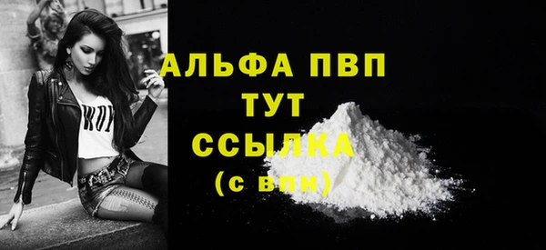 дживик Осинники
