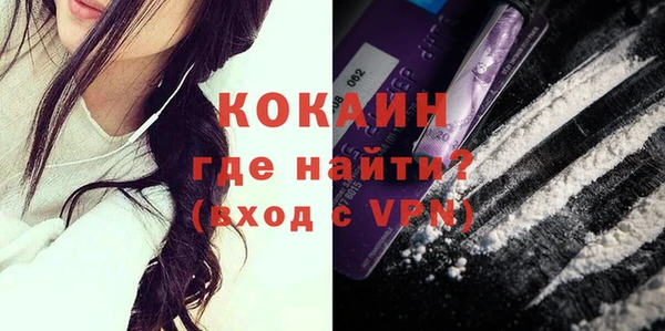 дживик Осинники