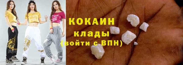 дживик Осинники